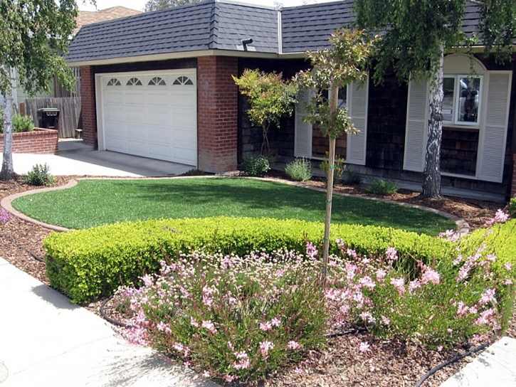 Outdoor Carpet Ganado, Arizona Gardeners, Front Yard Design