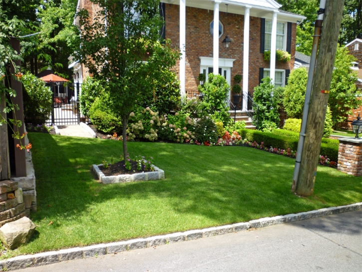 Outdoor Carpet Saint David, Arizona Rooftop, Front Yard Design