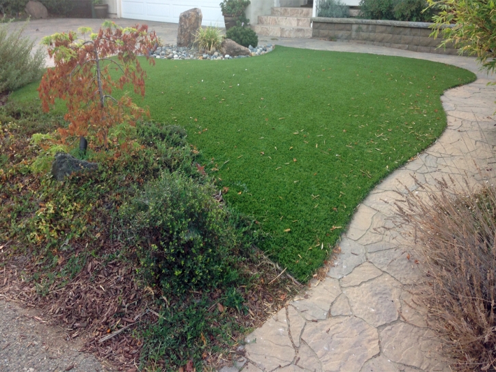 Outdoor Carpet Saint David, Arizona Artificial Turf For Dogs, Beautiful Backyards