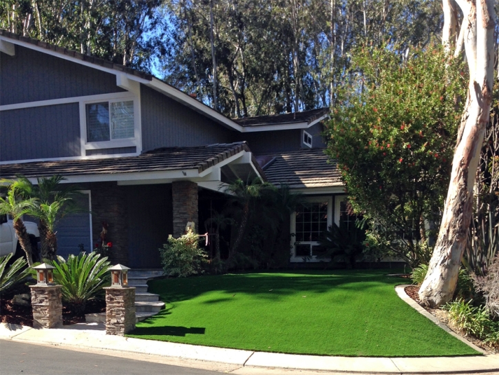 Outdoor Carpet Sunizona, Arizona Lawn And Landscape, Front Yard Landscaping