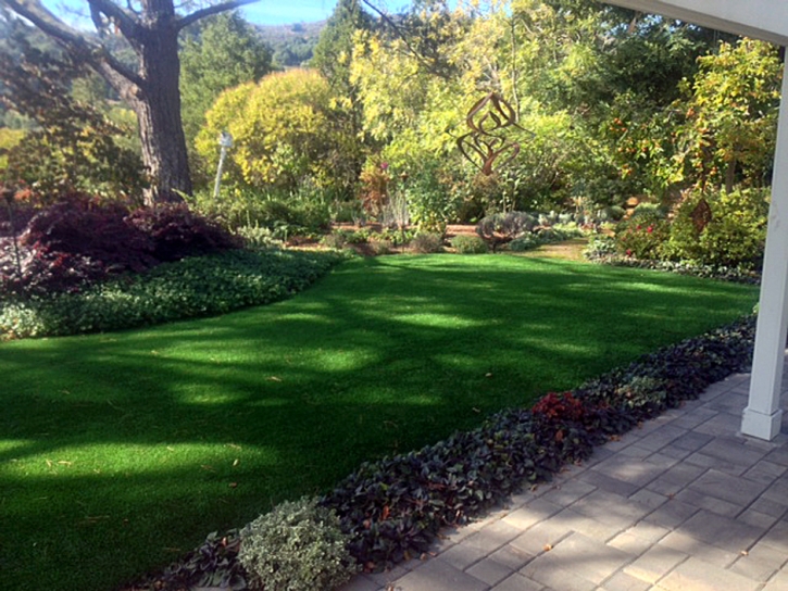 Plastic Grass Ali Chukson, Arizona Roof Top, Backyard Makeover