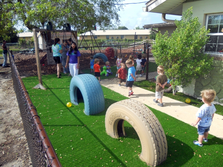 Plastic Grass Dilkon, Arizona Gardeners, Commercial Landscape