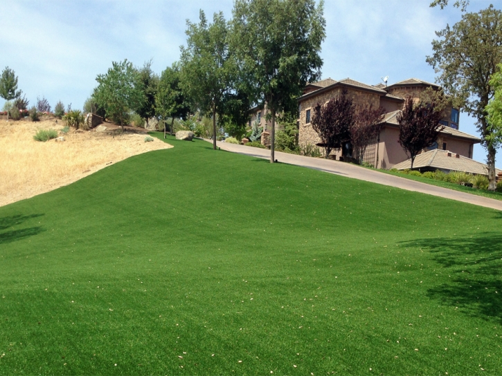 Plastic Grass Drexel Heights, Arizona Landscaping Business, Front Yard