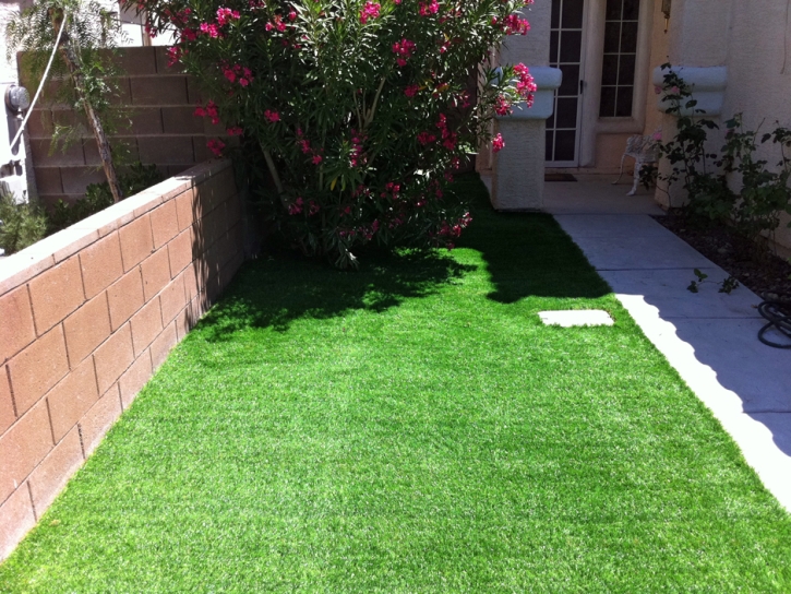 Plastic Grass Hackberry, Arizona Backyard Playground, Small Front Yard Landscaping