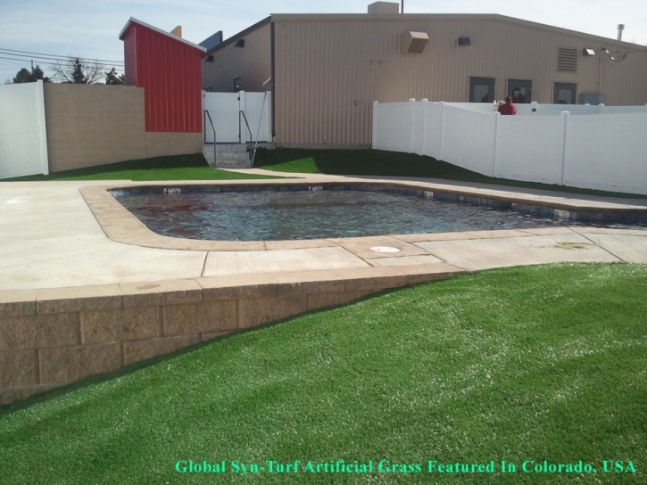 Plastic Grass Litchfield Park, Arizona Roof Top, Above Ground Swimming Pool