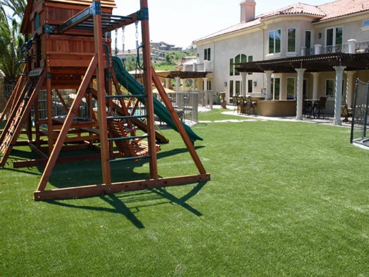 Plastic Grass Marana, Arizona Landscaping Business, Backyard Ideas