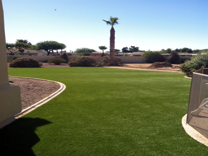 Plastic Grass Mayer, Arizona Rooftop, Backyard Designs