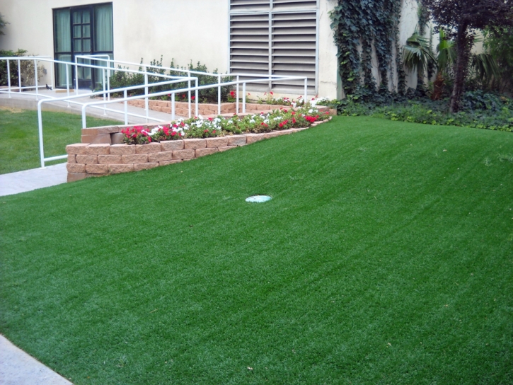 Plastic Grass Mescal, Arizona Indoor Putting Green, Front Yard