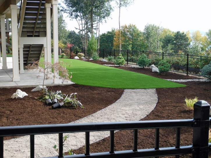 Plastic Grass Roosevelt, Arizona Design Ideas, Backyard Landscape Ideas