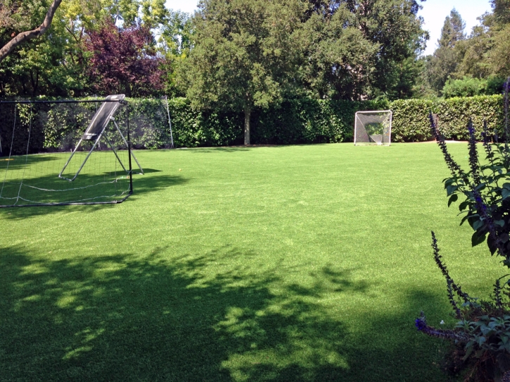 Plastic Grass Sahuarita, Arizona Lawns, Backyards