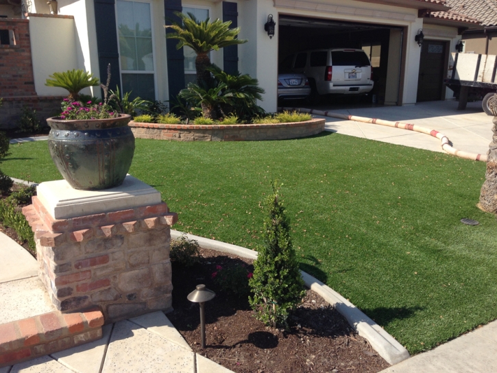 Plastic Grass Spring Valley, Arizona Landscape Ideas, Front Yard Landscaping Ideas