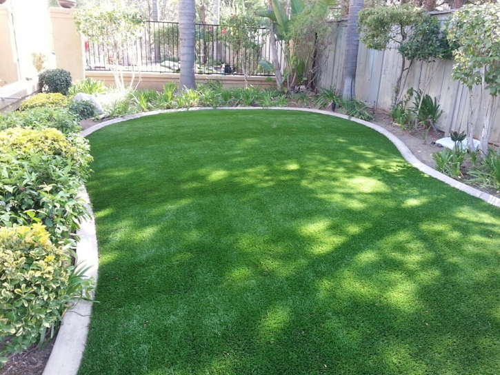 Plastic Grass Stanfield, Arizona Lawn And Landscape