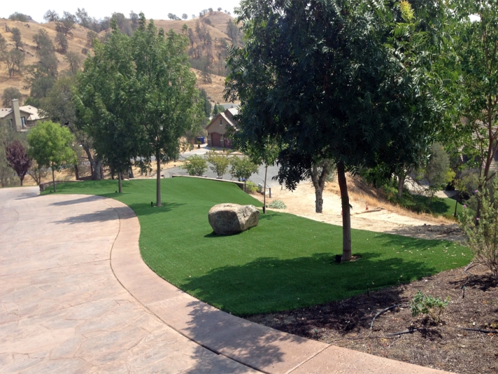 Plastic Grass Three Points, Arizona Gardeners, Front Yard Design