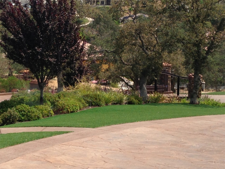 Plastic Grass Tolleson, Arizona City Landscape, Backyard Makeover