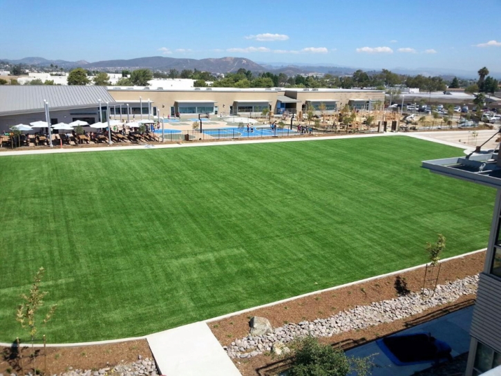 Plastic Grass Vernon, Arizona Softball, Commercial Landscape