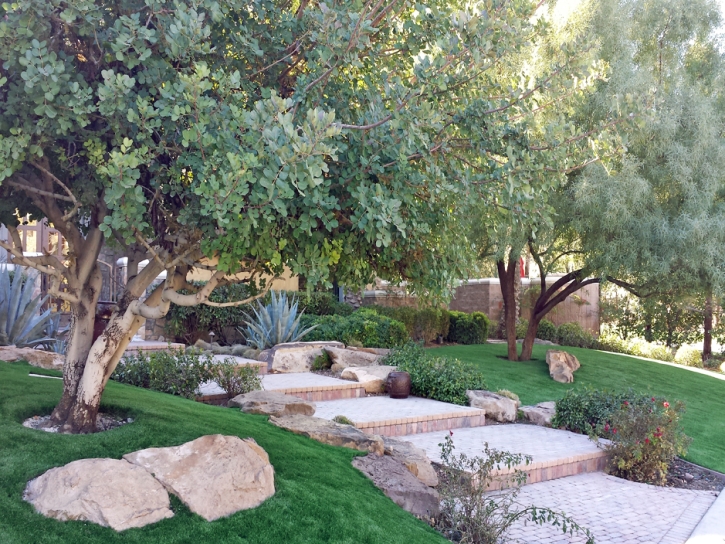 Plastic Grass Willcox, Arizona Garden Ideas, Backyard Design