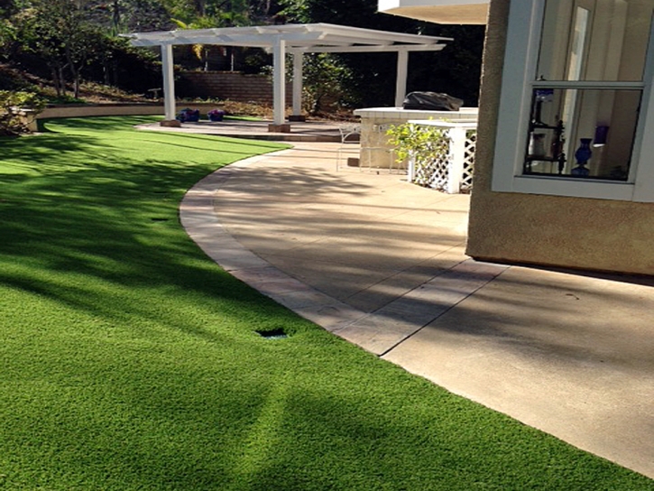 Synthetic Grass Catalina Foothills, Arizona Rooftop, Front Yard Ideas