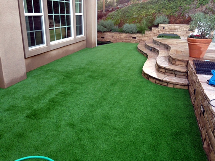 Synthetic Grass Cost Cane Beds, Arizona Roof Top, Backyard Ideas