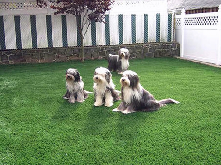 Synthetic Grass Cost Central Heights-Midland City, Arizona Drainage, Small Backyard Ideas