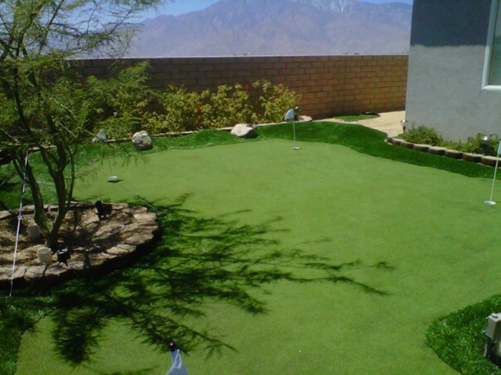 Synthetic Grass Cost Chloride, Arizona Best Indoor Putting Green, Backyard Landscaping Ideas