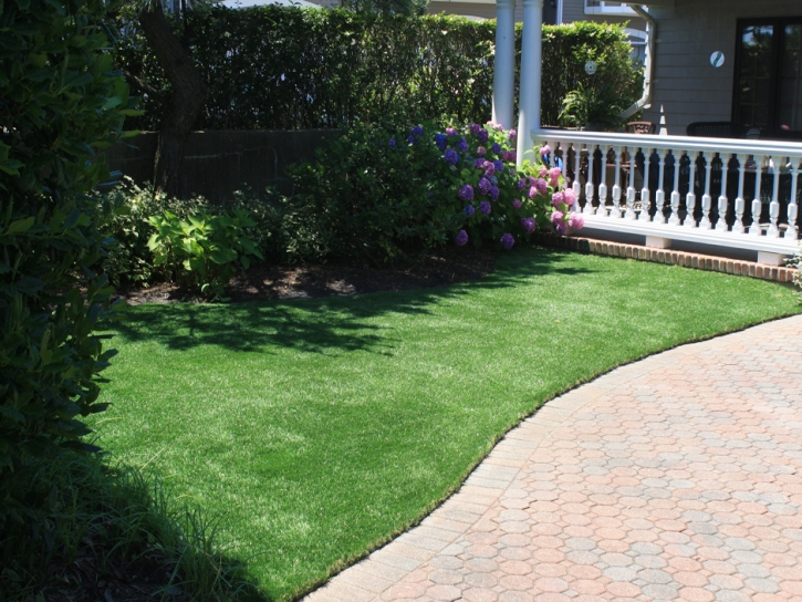 Synthetic Grass Cost Cutter, Arizona Cat Playground, Front Yard Design