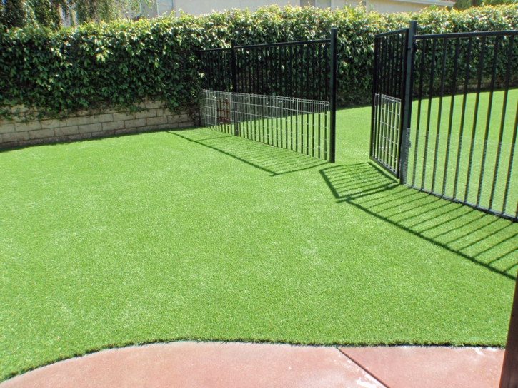 Synthetic Grass Cost Douglas, Arizona Landscape Design, Front Yard Landscaping