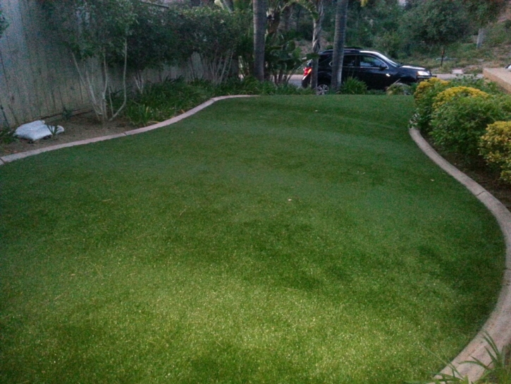 Synthetic Grass Cost Picacho, Arizona Lawn And Garden, Front Yard Landscaping Ideas