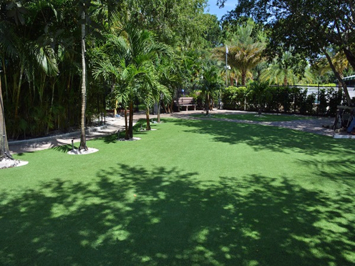 Synthetic Grass Cost Pisinemo, Arizona Paver Patio, Commercial Landscape