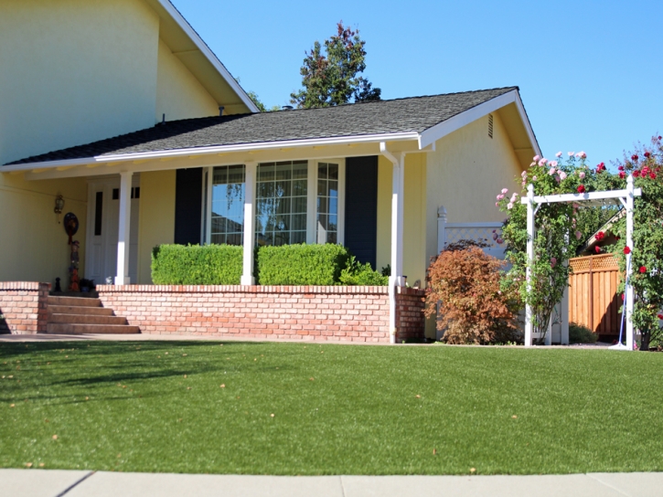 Synthetic Grass Cost Rock Point, Arizona Rooftop, Front Yard Design