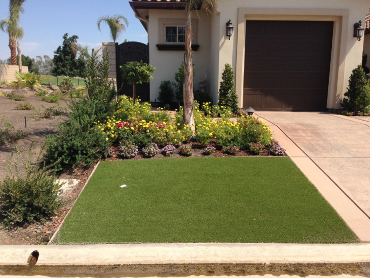 Synthetic Grass Cost Willow Valley, Arizona Home And Garden, Front Yard Landscape Ideas
