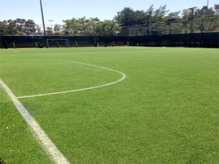 Synthetic Grass Maish Vaya, Arizona Bocce Ball Court