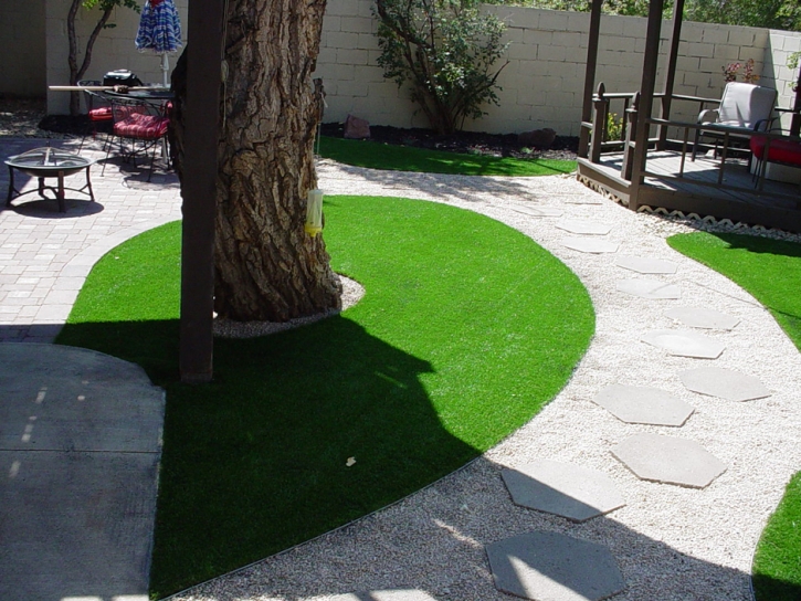 Synthetic Grass Mescal, Arizona Landscape Rock, Backyard Garden Ideas