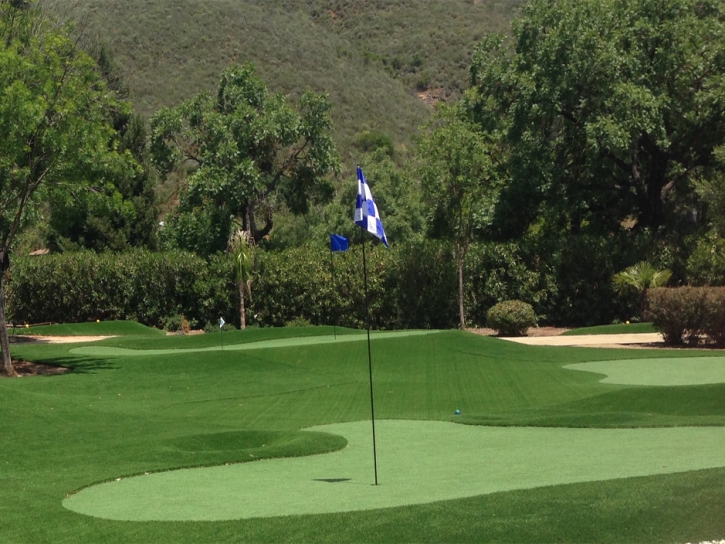 Synthetic Grass Paradise Valley, Arizona Backyard Playground