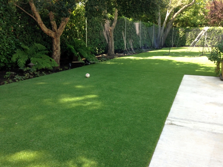 Synthetic Grass Pinal, Arizona Backyard Deck Ideas