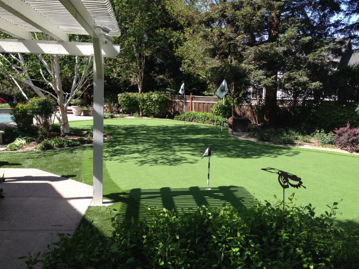 Synthetic Grass Queen Valley, Arizona Roof Top