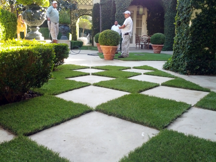 Synthetic Grass San Miguel, Arizona Landscaping Business, Pavers