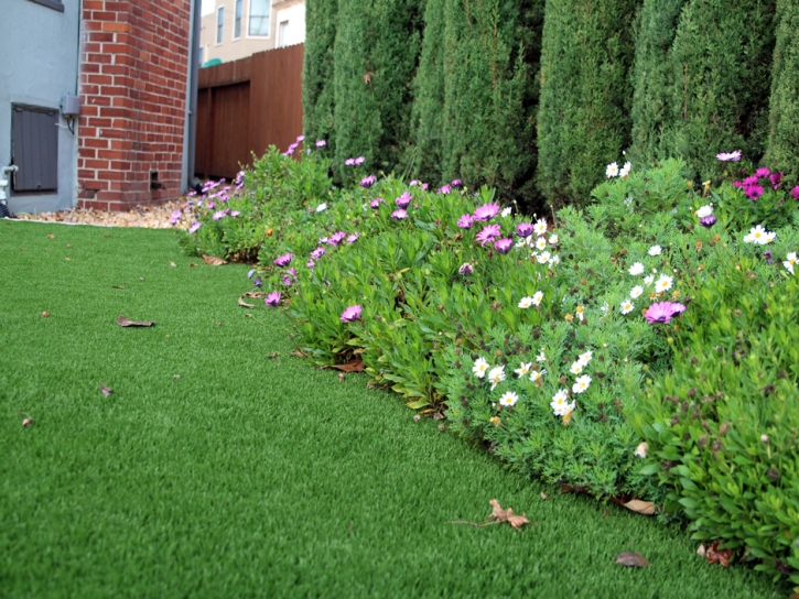 Synthetic Grass Shungopavi, Arizona Landscape Photos, Front Yard Ideas