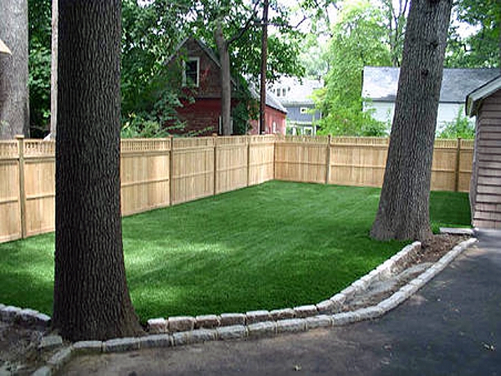 Synthetic Grass Tonalea, Arizona Dog Pound, Backyards