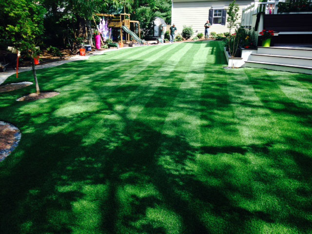 Synthetic Grass Yarnell, Arizona Home And Garden, Backyard Makeover