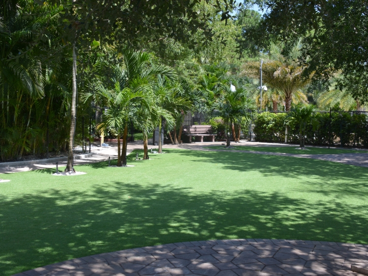 Synthetic Lawn Blackwater, Arizona Landscape Design, Commercial Landscape