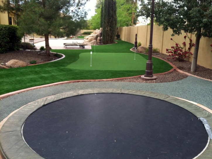 Synthetic Lawn Central, Arizona City Landscape, Backyards