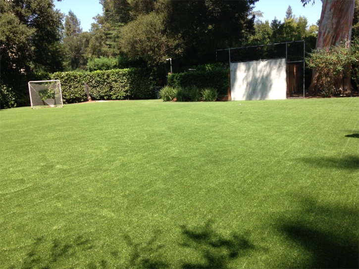 Synthetic Lawn Dewey-Humboldt, Arizona Eco Friendly Products, Small Backyard Ideas