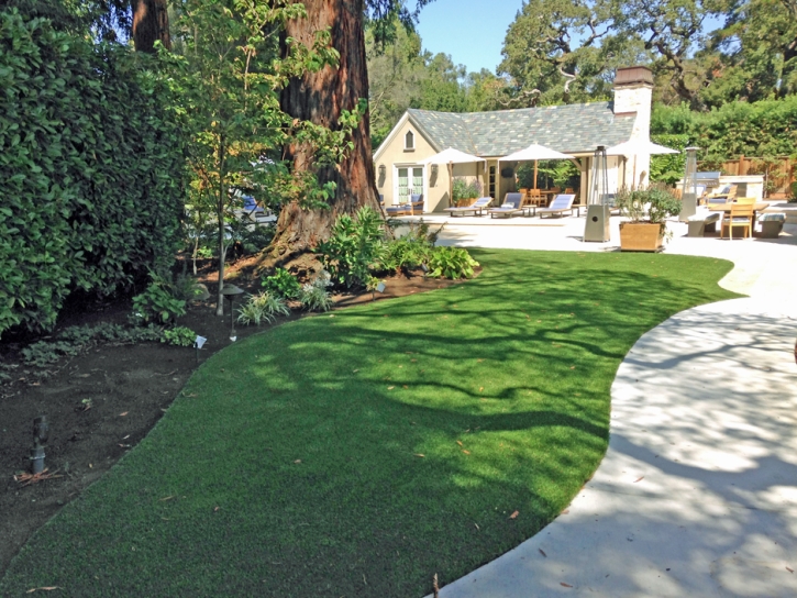 Synthetic Lawn Mountainaire, Arizona Garden Ideas, Commercial Landscape