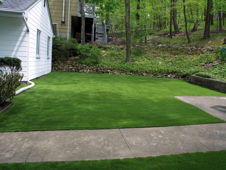 Synthetic Lawn Patagonia, Arizona Rooftop, Front Yard Ideas