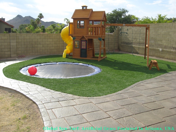 Synthetic Lawn Santa Cruz, Arizona Landscape Photos, Small Backyard Ideas