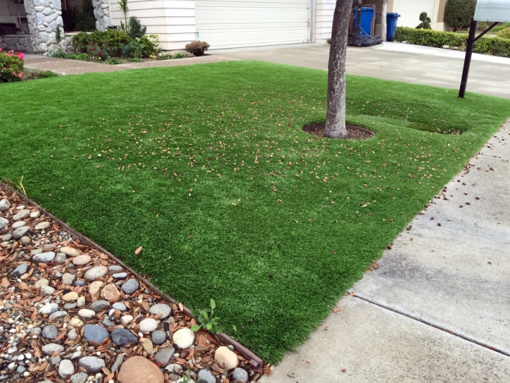 Synthetic Lawn York, Arizona Lawn And Garden, Front Yard Landscaping