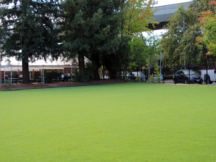 Synthetic Turf Ak-Chin Village, Arizona Rooftop, Commercial Landscape