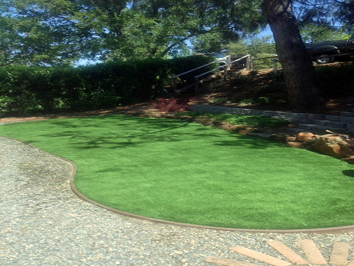 Synthetic Turf Cedar Creek, Arizona Roof Top, Backyard Garden Ideas