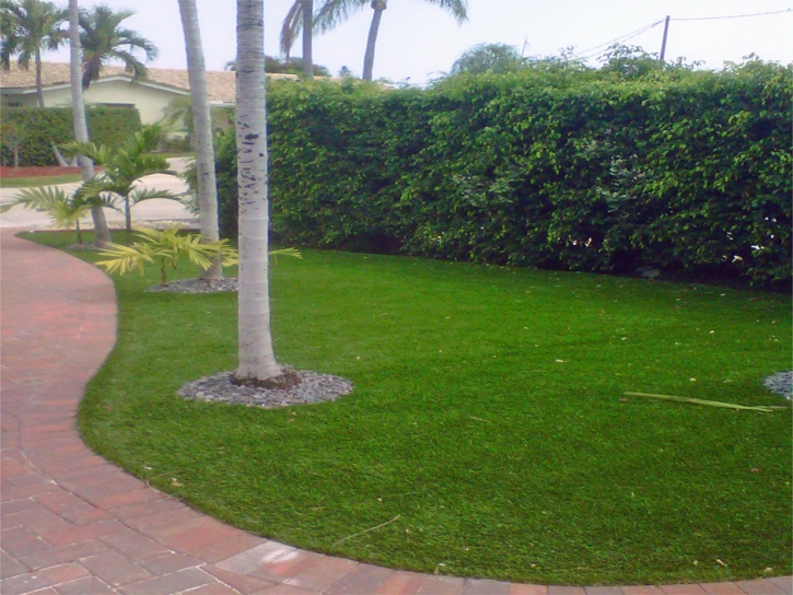 Synthetic Turf Cienega Springs, Arizona Rooftop, Front Yard Ideas