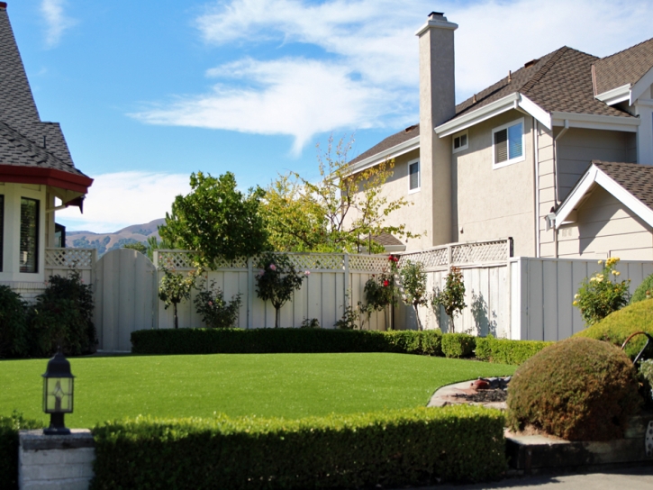 Synthetic Turf Coolidge, Arizona Lawn And Garden, Front Yard Ideas